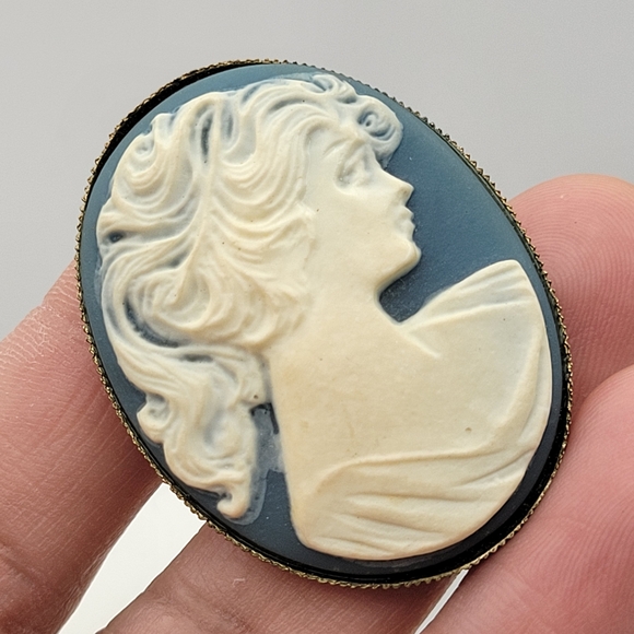 Stunning Vintage Cameo C-Clasp Brooch in Blue and Cream - Picture 3 of 11